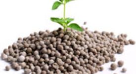 Всё об удобрениях