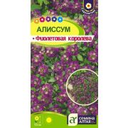 Алиссум Фиолетовая Королева